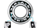 Conveyor Rollers Bearings