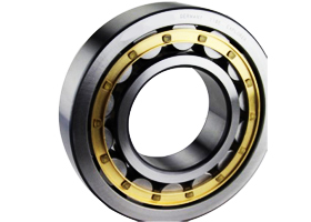 Single Row Cylindrical Roller Bearings