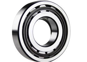Single Row Cylindrical Roller Bearings