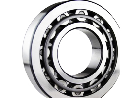 Single Row Cylindrical Roller Bearings