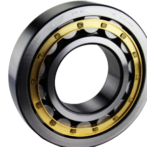 Single Row Cylindrical Roller Bearings