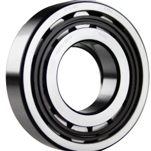 Single Row Cylindrical Roller Bearings